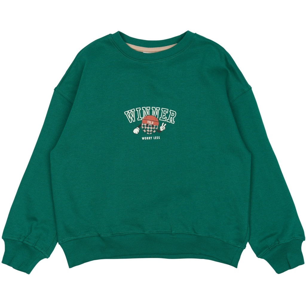 The New sweatshirt kind Paul Sweatshirt Alpine Green (groen)