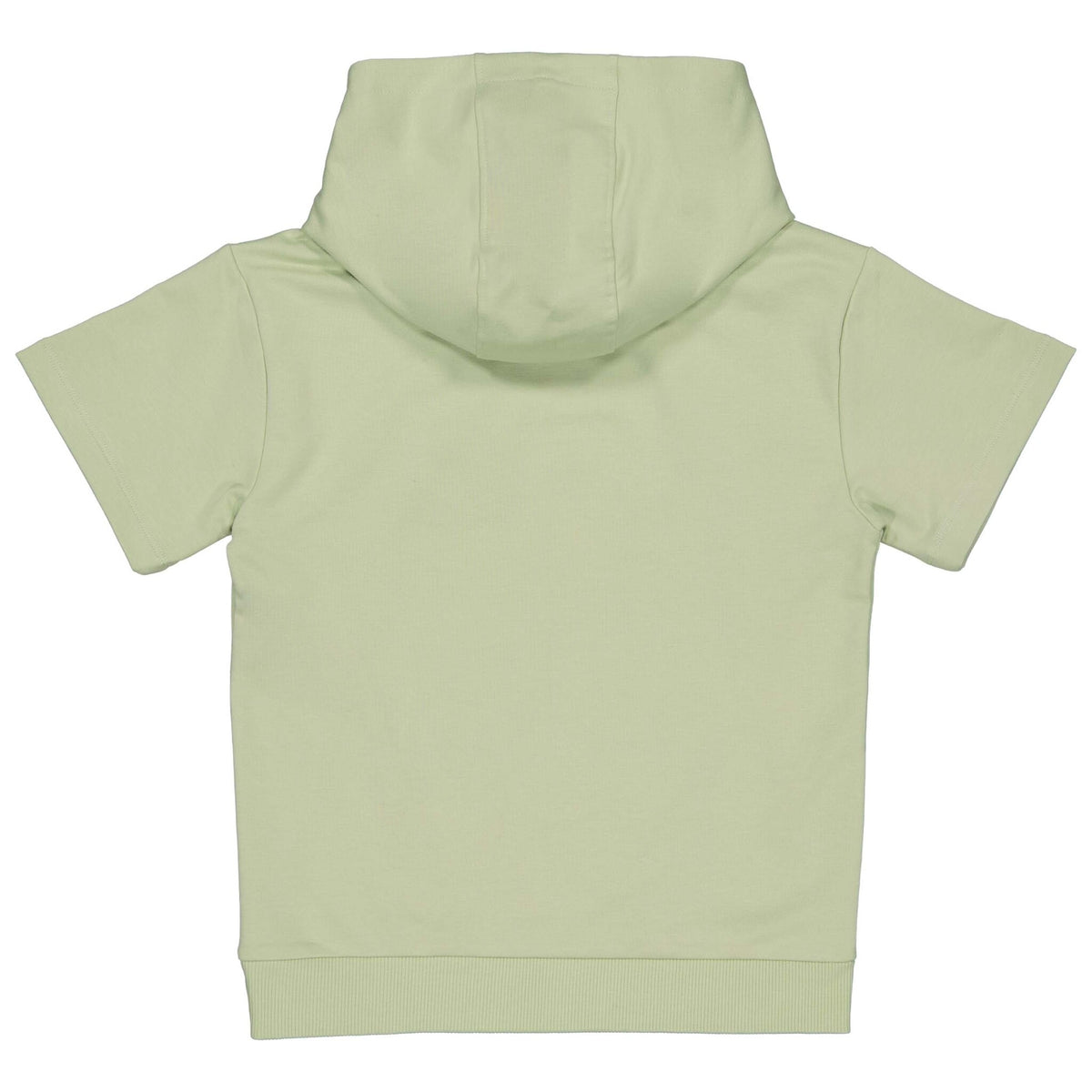 LEVV trui jongen Sergio sweater Cedar Green groen