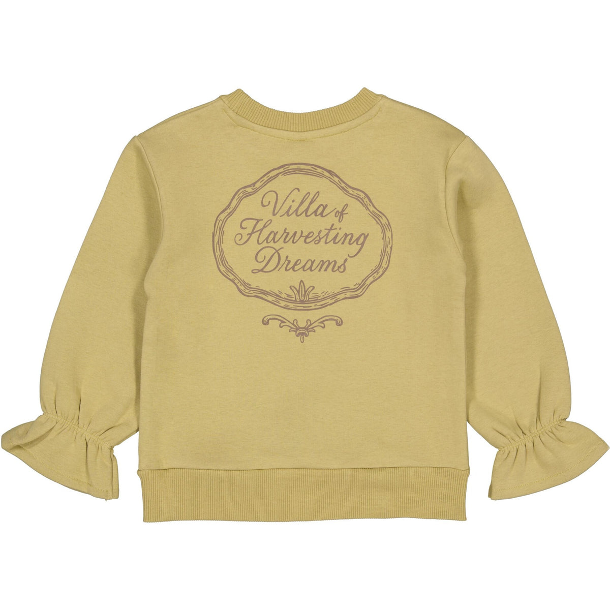 LEVV sweater meisjes Dante Light Green (lichtgroen)