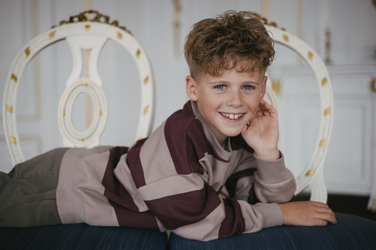 LEVV sweater jongen Dax AOP Grey Stripe (bordeaux gestreept)