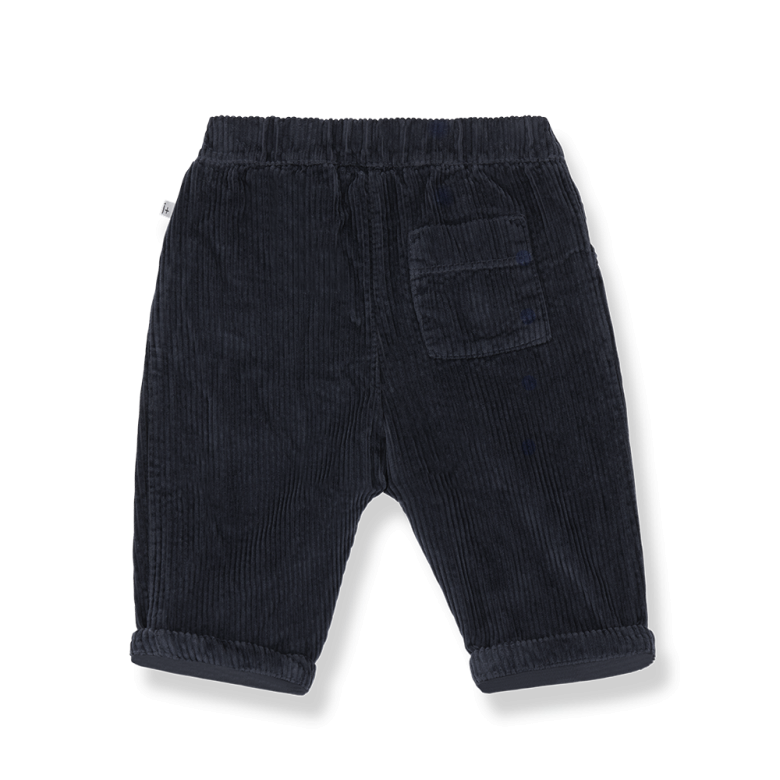 1+ IN THE FAMILY broek Quebec Blue (blauw)