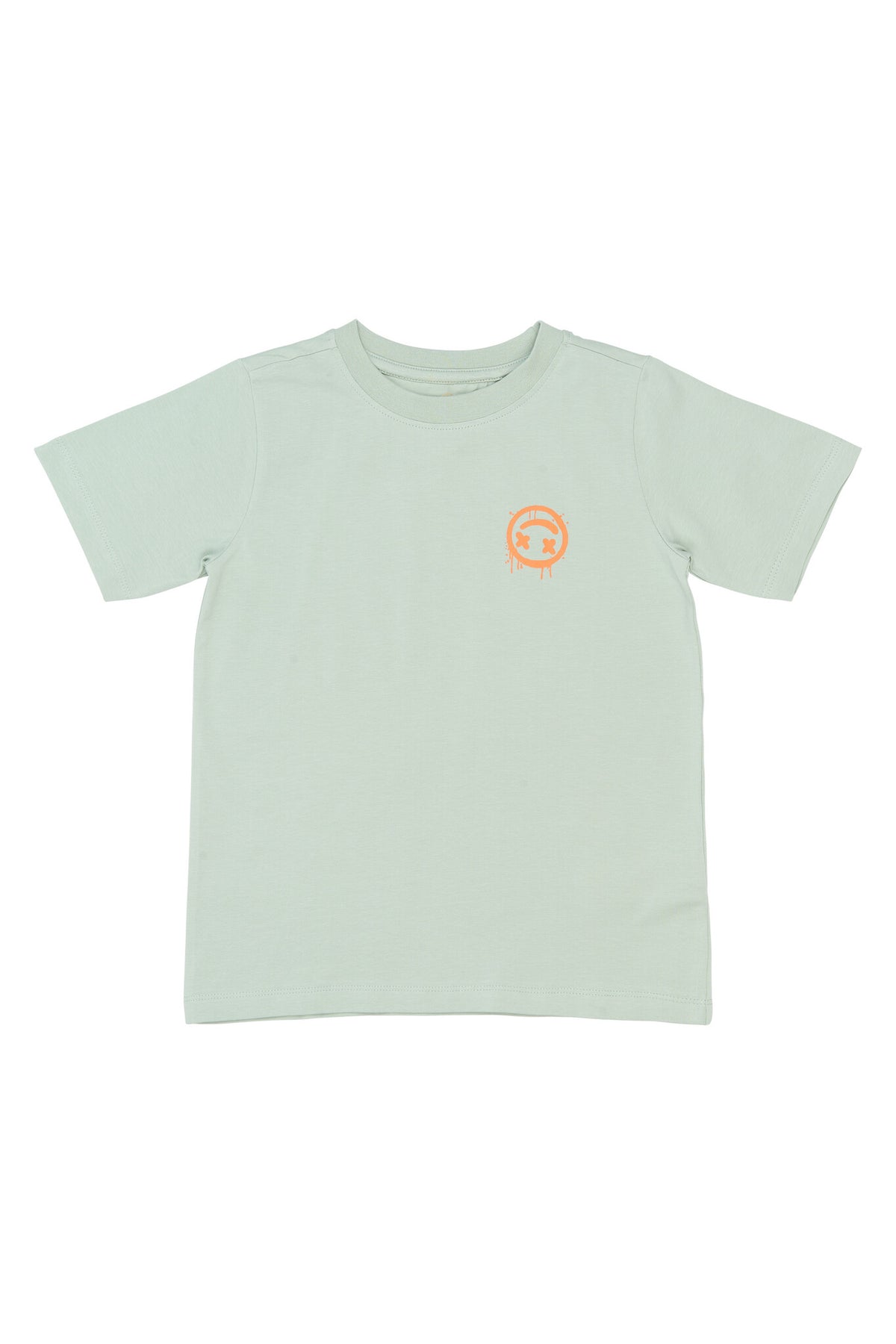 The New shirt kind Sander Tee Aqua Grey (aqua grijs)