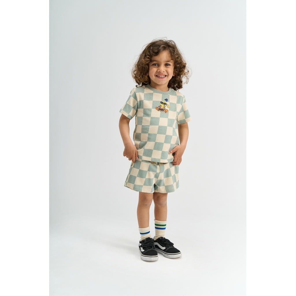 The New T-shirt kind Sebastian Tee Aqua Grijs (aqua grijs, met print)