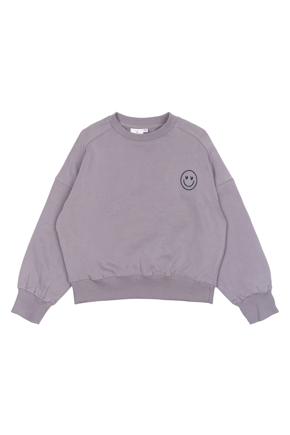 The New sweater kind Precious Sweater (paars)