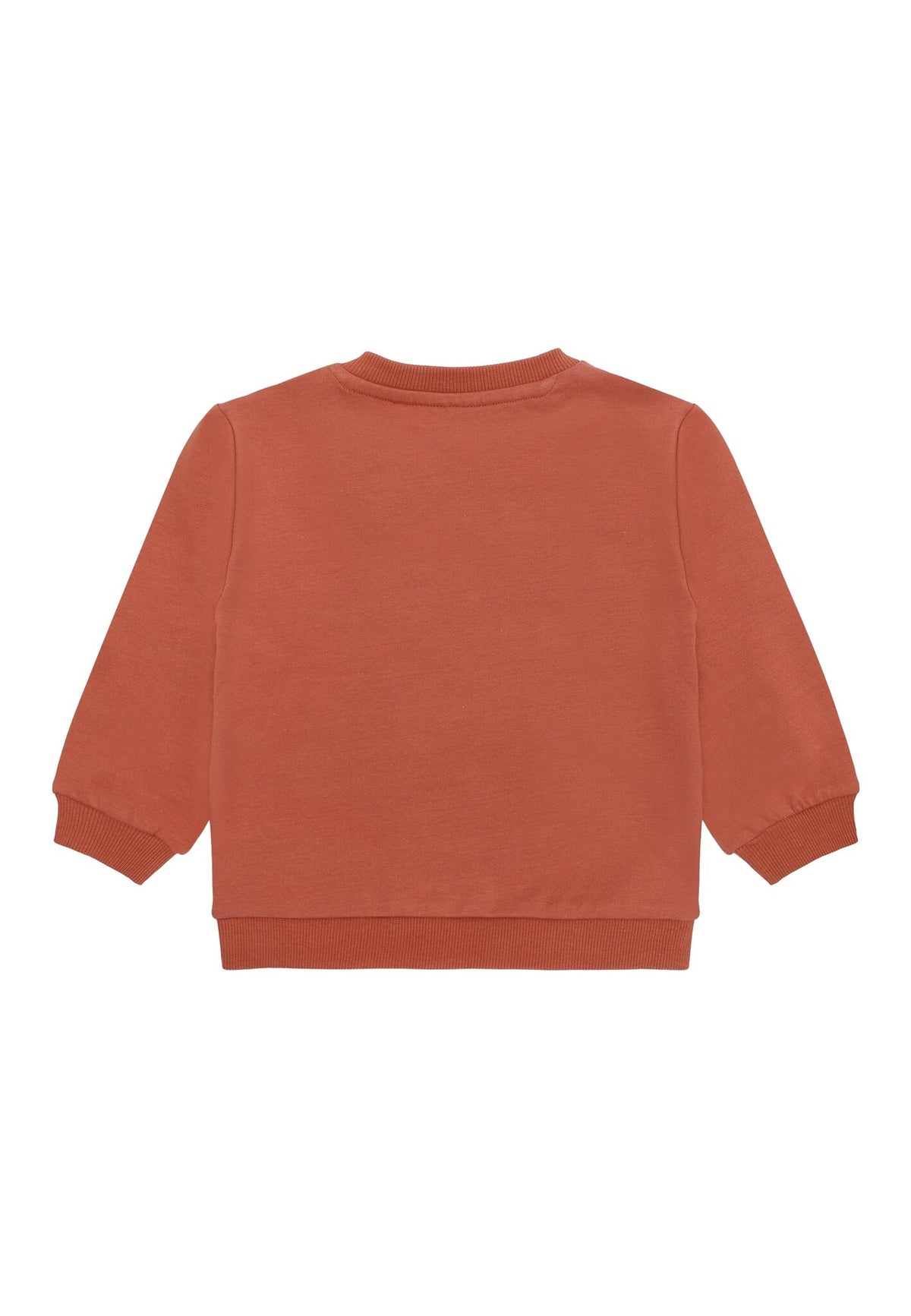 The New sweatshirt kind Lettie Sweatshirt Cedar Wood